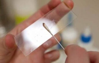 Quels tests doivent être effectués pour les parasites